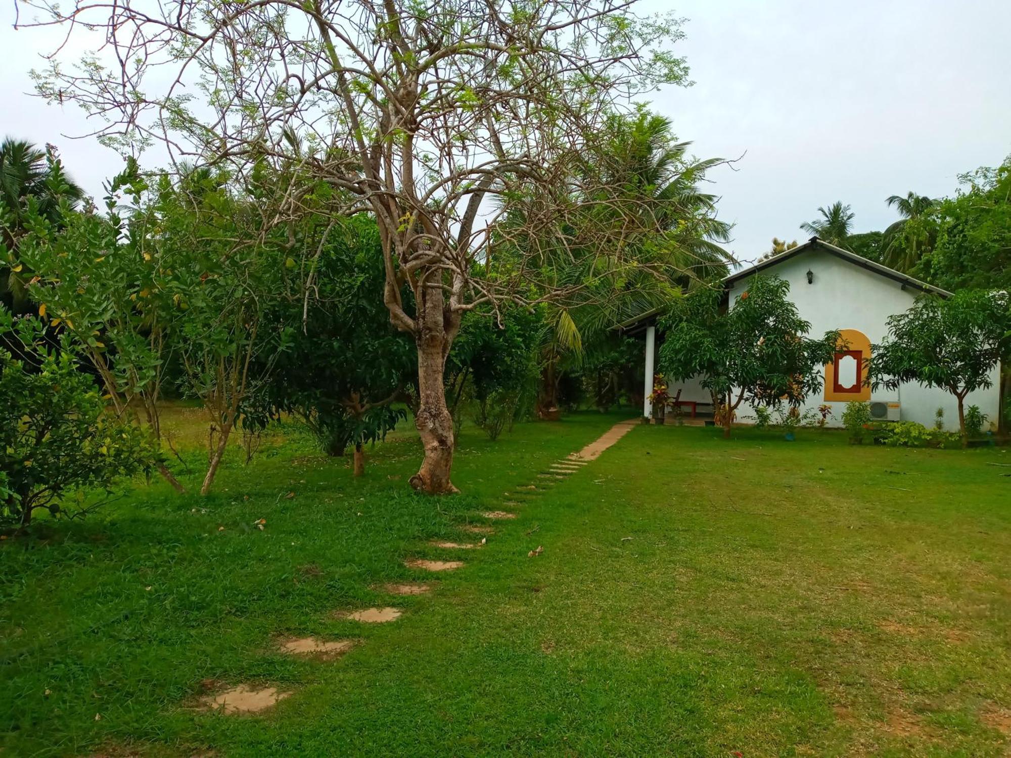 Hideaway Homestay Habarana Exterior foto